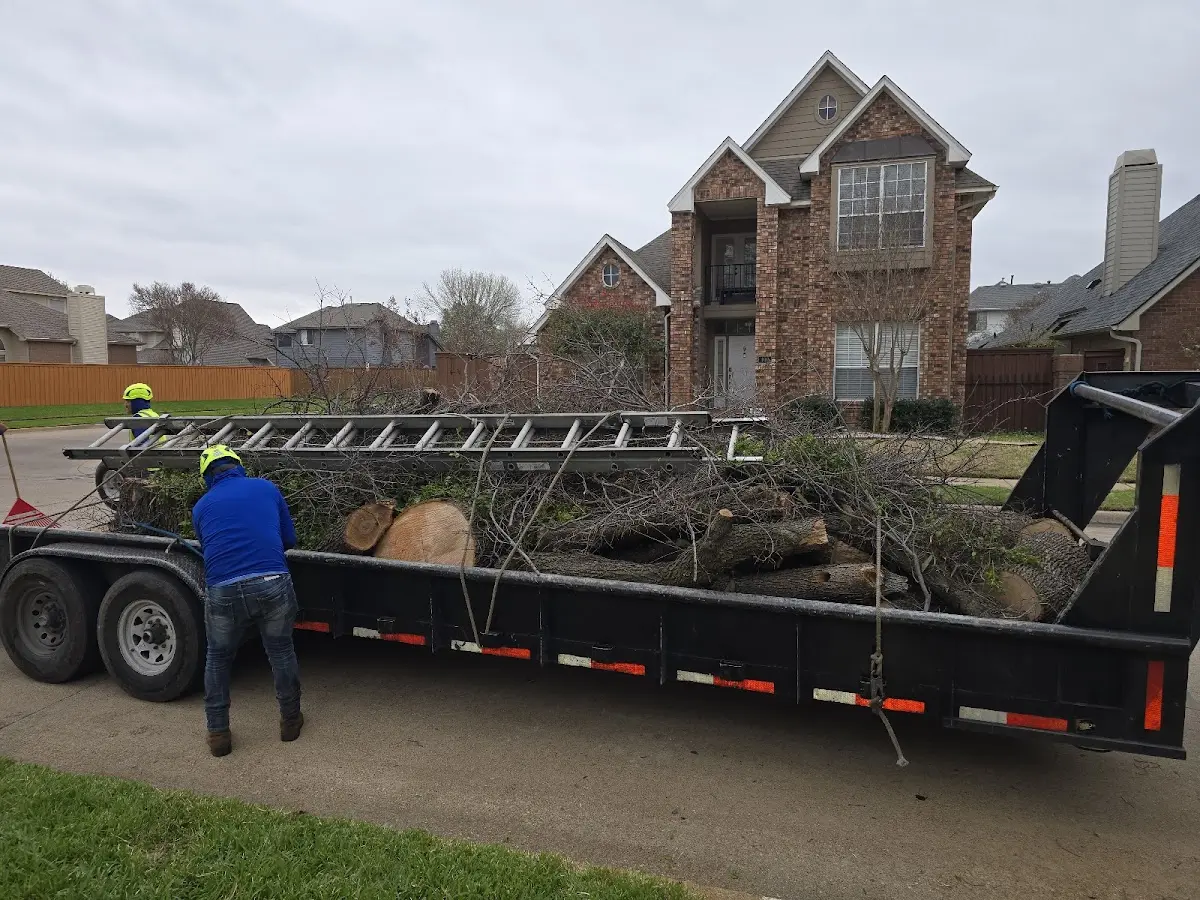 Expert Tree Fertilization with proper safety equipment in Idaho Falls
